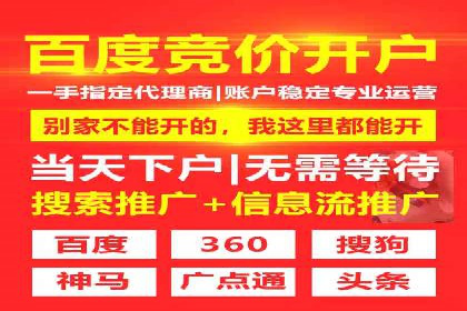 SEM代理服务：提升广告投放效果