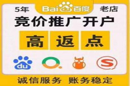 SEM推广优化策略：成功案例解析